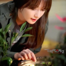 Song Ha Yoon (33) Song Ha Yoon (33)